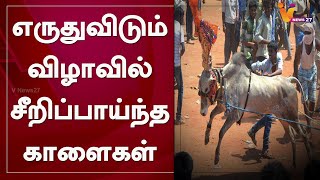 எருதுவிடும் விழாவில் சீறிப்பாய்ந்த காளைகள்