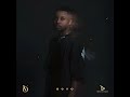 SGVO - Thando ft. Artwork Sounds & Jessica LM (Official Audio)