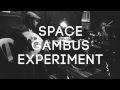 Space Gambus Experiment: People are asleep as long as they are alive