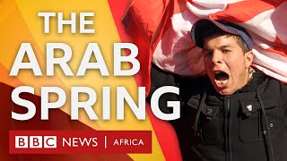 How did the Arab Spring start in Tunisia? - BBC What's New