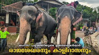 യംഗ്സ് പഴഞ്ഞിക്ക് വേണ്ടി ഉയരകേമൻമാർ അണിനിരന്നപ്പോൾ🥵🔥 , ചിറക്കൽ കാളിദാസൻ, ചെർപ്പുളശ്ശേരി രാജശേഖരൻ