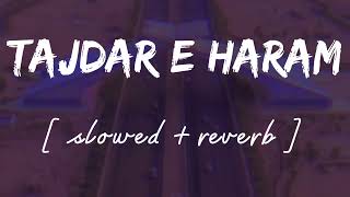 Tajdar e haram [ Slowed + reverb ] - Lofi remix - Atif aslam || Wild waves 🖤