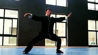 Chenshi taijiquan erlu 太极王岩 taijiwangyan