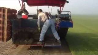 harvesting turf with a brouwer hand stack