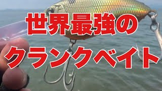 【バス釣り 琵琶湖】近所の池でクランクベイトを投げて巻いてみる ニシネルアーワークス チッパワ XDD