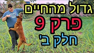 גדול מהחיים - להתמודד עם הפחד | פרק 9 *חלק ב'*