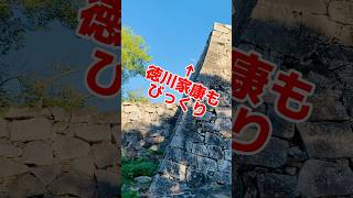 1607年完成した福岡城、現代の飛行機が飛ぶ。当時の幕府の徳川家康、福岡城主の黒田長政、飛行機を想像もしなくて、きっとびっくりする。福岡市、福岡城、福岡藩、江戸城、江戸徳川、お城、おしろ#shorts