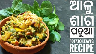 ଆଳୁ ଶାଗ ପତୁଆ ବା ରାଈ  Potato leaves Recipe