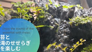 苔と滝のせせらぎを楽しむ【Enjoy the sound of the waterfall with moss】