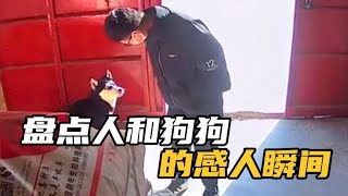 盘点人和狗狗的感人瞬间，它们虽然不会说话，但是他们什么都懂