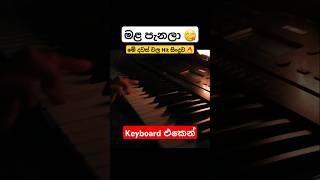 Jo Perera - Mala penala | Keyboard cover | Vibe With Music  🔥😱💝 #malapenala #keyboardcover #trending