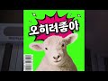 마스터건반 이거 사면 됨 ㅣ midiplus x시리즈 ㅣ 작곡 u0026연주 ㅣ 홈레코딩 ep57