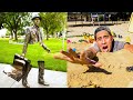 Zach King's Best TikTok Magic Videos of 2021 - Compilation