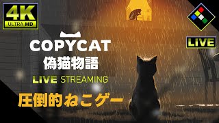 4K LIVE：圧倒的ねこゲー　COPYCAT 偽猫物語　Vol.2