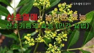 산초열매 엄청난 효능, 산초기름 효능