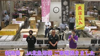 【梅田生花市場】2023 06 12JA北魚沼セリ前挨拶