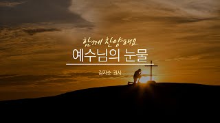 찬양 - [예수님의 눈물]