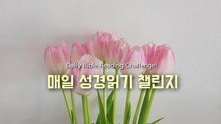 (월) 매일 성경읽기 챌린지 207 LIVE 갈라디아서 3~