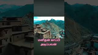 பறவையைப் பார்த்து ஏரோபிளேன் கண்டுபிடித்தார்கள் #tamilislamicbayans #tamil #viral #shortvideos