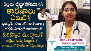 పిల్లలు పుట్టకపోవడానికి కారణం ఎవరు ? What is Infertility ? Treatment, Causes In Men and women || THF