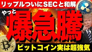 ビットコイン過去最高に超強気。リップルはSECと和解、そしてETF申請承認へ！【仮想通貨 暗号通貨 ビットコイン FX リップル】