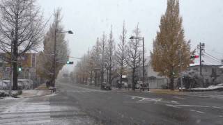 東京　初雪　　八王子　２０１６年１１月２４日