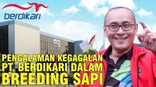 Pengalaman Gagal Bisnis Sapi PT. Berdikari Dalam Breeding Sapi