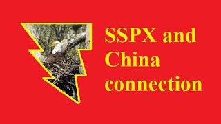 The connection between the SSPX and China