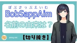 【切り抜き】ボブサップエイムの名前の由来【BobSappAim】