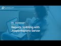 Dr. Jaspersoft - Reports splitting with JasperReports Server