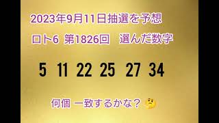 【89.前編•予想購入】LOTO6を当てようチャンネル！【第1826回】 2023年9月11日の抽選を予想し購入