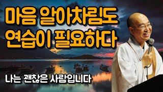 어떤 상황이든 바로 마음을 알아차린다면 그것이 수행이다 | 법륜스님, 나는 괜찮은 사람입니다