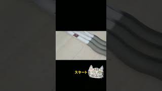 【ミニ四駆】【mini4WD】ブロッケンG【VＳ】ブロッケンG激走対決