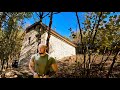 Processing Lumber for the Off-Grid Stone Hut, Wilderness Homestead Ep. 08.