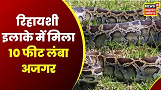 Jashpur के रिहायशी इलाके में मिला 10 फीट लंबा अजगर, इलाके में मचा हड़कंप | Latest News | Python