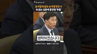 윤석열 똑 닮은 윤석열 변호사. 어처구니 없는 질문만 늘어놓자..