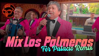 No Ferpa, no party! Super remix Los Palmeras by Fer Palacio