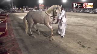 Best Horse Dance 06 aug 2019 mazhar abad pakpatan org ahmad fraz bodla-214