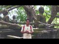 forest rock garden resort anuradhapura forest rock hotel forest rock documentary video