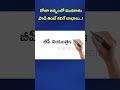 రోజు అన్నంలో మునగాకు పొడి తింటే కలిగే లాభాలు..... 🥰