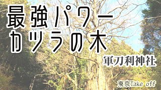 最強パワー!奥宮・桂の木～軍刀利神社