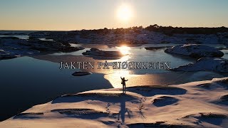 Sjøørretfiske - Jakten på sjøørreten \