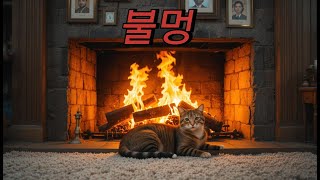 🔥[불멍] 평화롭고 아늑한 시간을 만드세요.(2)📖☕