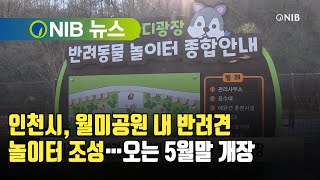 [NIB 뉴스] 인천시, 월미공원 내 반려견 놀이터 조성…오는 5월말 개장