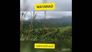 WAYANAD / പച്ച പുതച്ച് വയനാട്