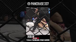 9.24 PANCRASE337 フライ級 秋葉太樹　#shorts