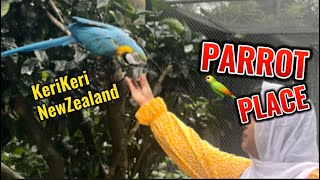 পাখিদের রাজ্যে আমরা । The Parrot 🦜 Place In KeriKeri,Newzealand