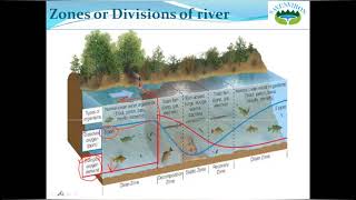 Self Purification of Streams | Self Purification of River | How does river water purify itself?