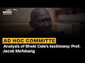 Ad Hoc Committee | Analysis of Bheki Cele's testimony: Prof. Jacob Mofokeng