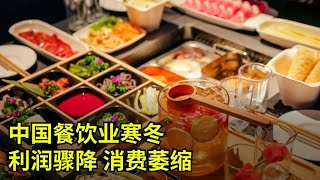 中国餐饮业寒冬，利润骤降，消费萎缩 | 中国经济 | 消费降级